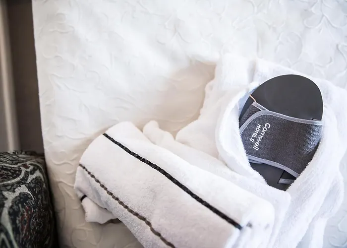 Comwell コアセー